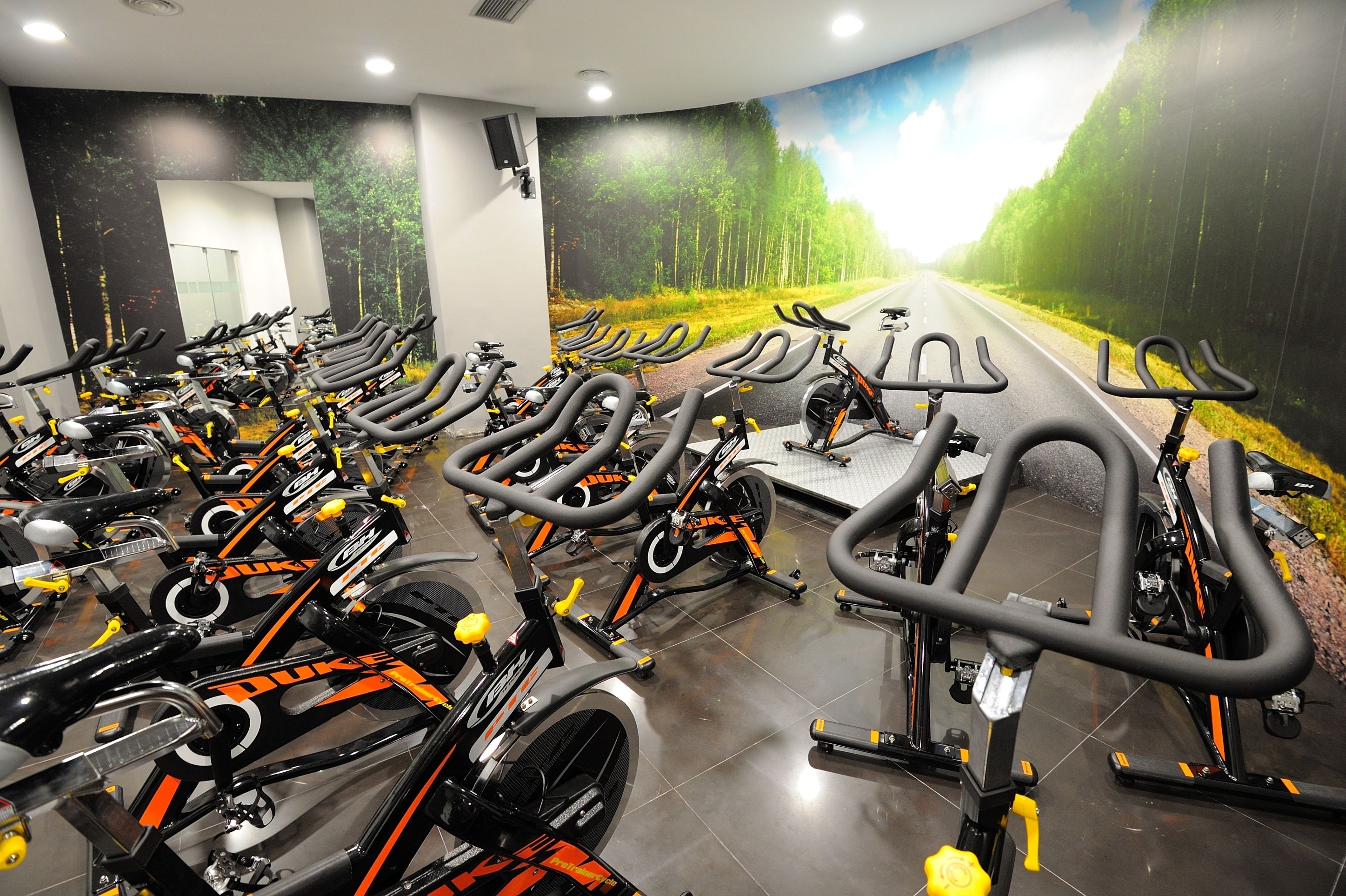 A gym with multiple stationary bikes arranged in rows, a mural of a forest road on the wall, and a door in the background.