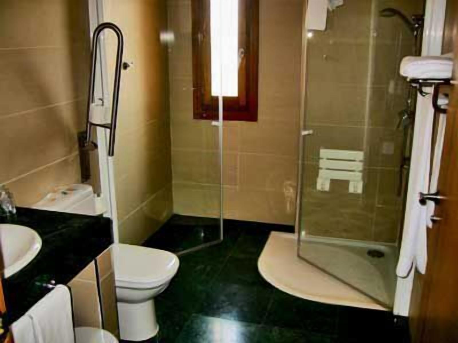 hair dryer, bidet, towels