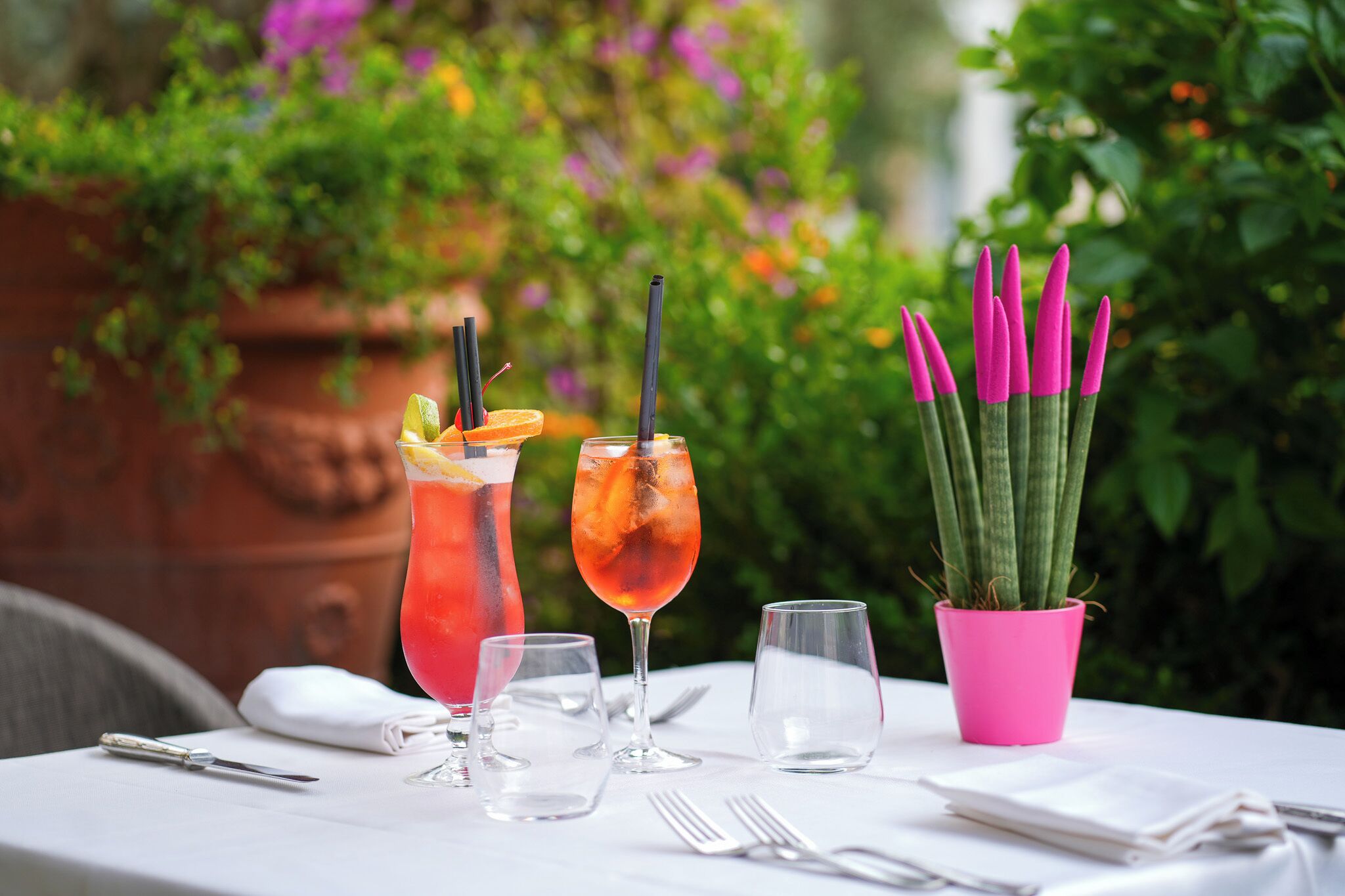 A table set with two drinks, a pink potted plant, and a rustic wooden background.