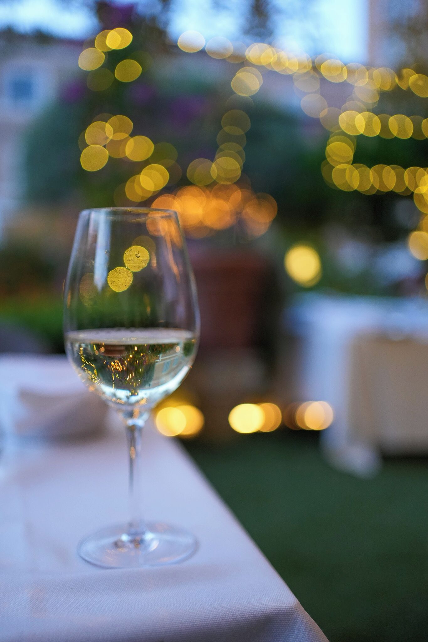 A glass of white wine on a table with a blurred background of lights and greenery.