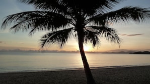 A beach with a palm tree silhouette against a sunset. - Palm Cove Tropic Apartments (Palm Cove)