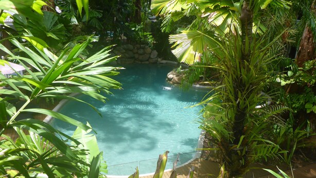 A clear pool surrounded by lush greenery. - Palm Cove Tropic Apartments (Palm Cove)
