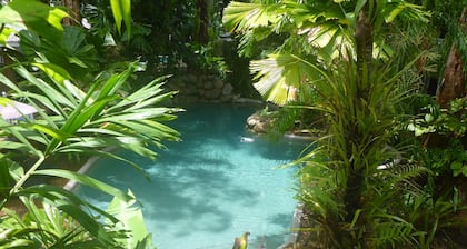 Palm Cove Tropic Apartments