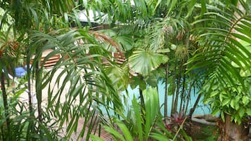 Standard Apartment, 1 Bedroom | Garden view