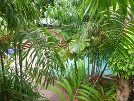 スタンダード アパートメント 1 ベッドルーム | ガーデン ビュー