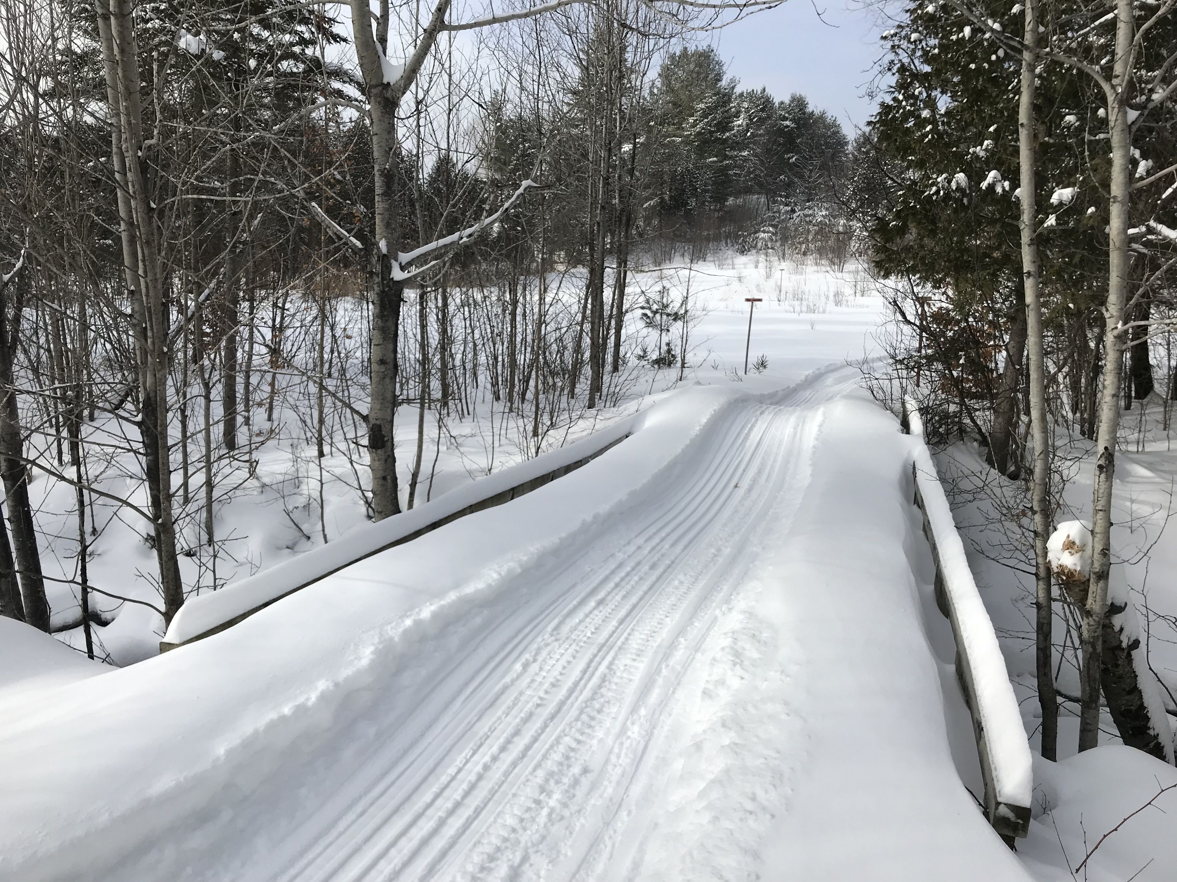 A snow-covered path in a forested area with bare trees and a clear sky.