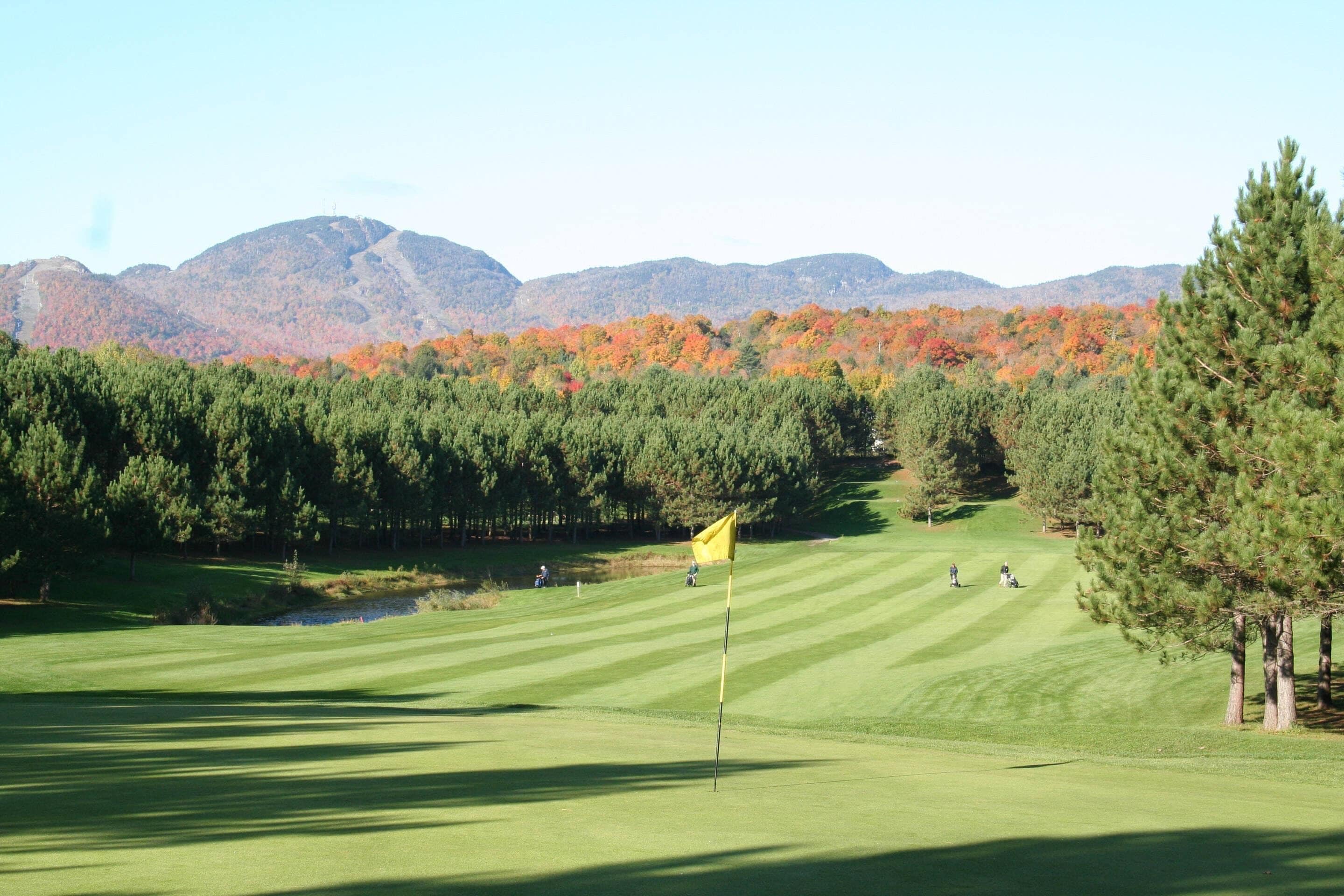 Um campo de golfe com uma bandeira, árvores e montanhas ao fundo.