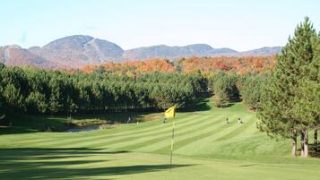 Um campo de golfe com uma bandeira, árvores e montanhas ao fundo.