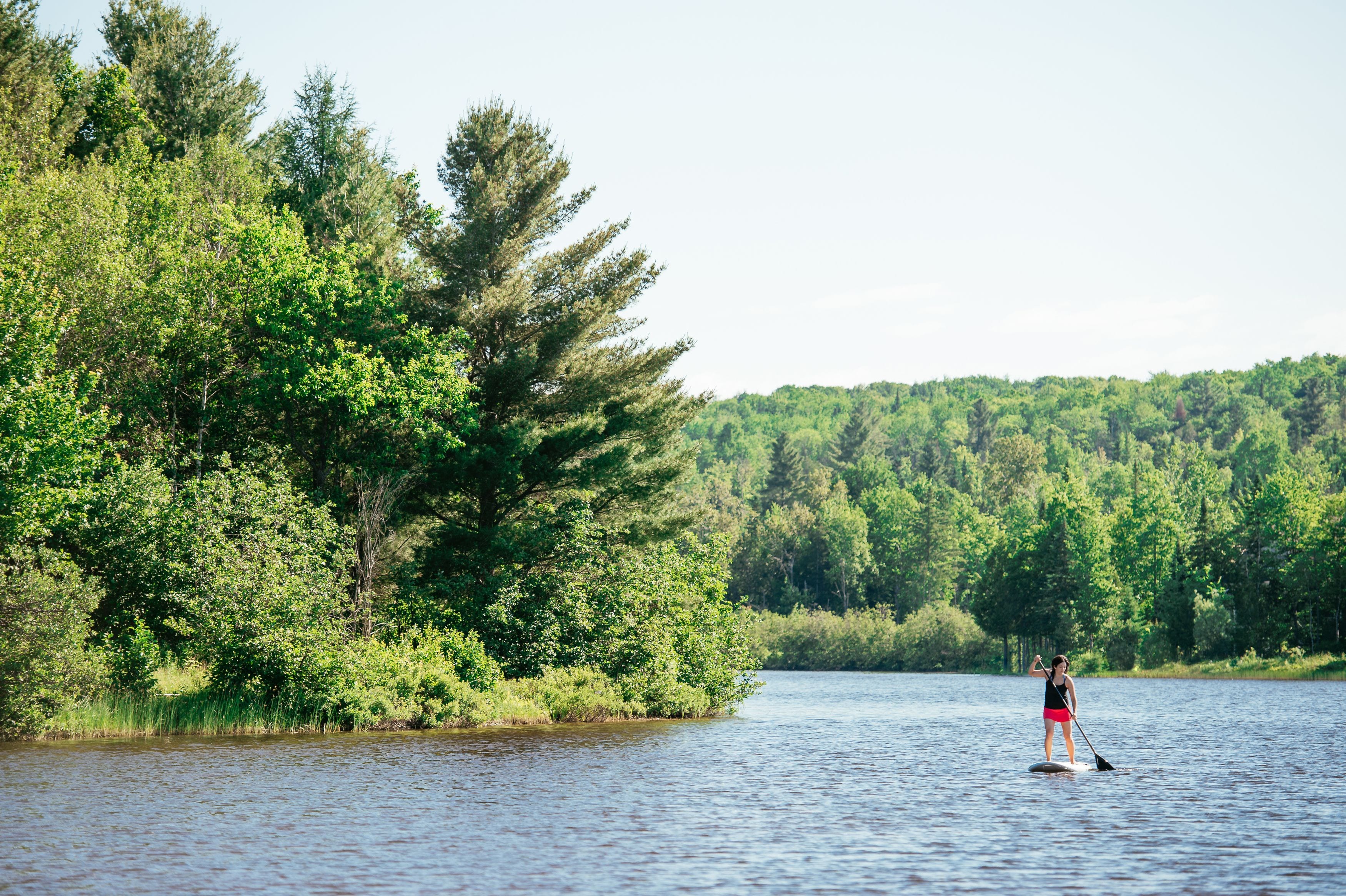 Una persona haciendo paddleboard en un lago tranquilo rodeado de un bosque denso.