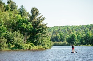 Una persona haciendo paddleboard en un lago tranquilo rodeado de un bosque denso.