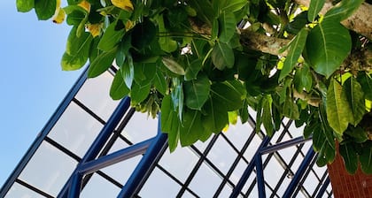 Blue Tree Towers Joinville