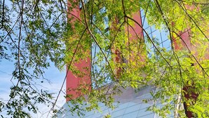 施設の正面