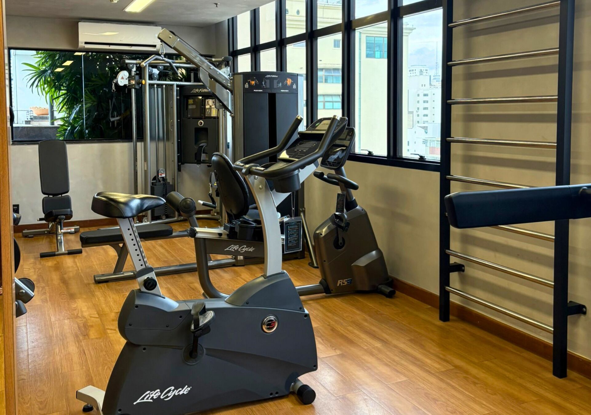 Gimnasio