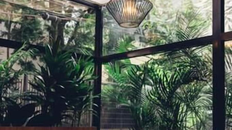 Transamerica Executive Jardins