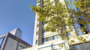 Un edificio moderno con un amplio acceso de vidrio, una banca de madera en el exterior y un árbol frente a él.
