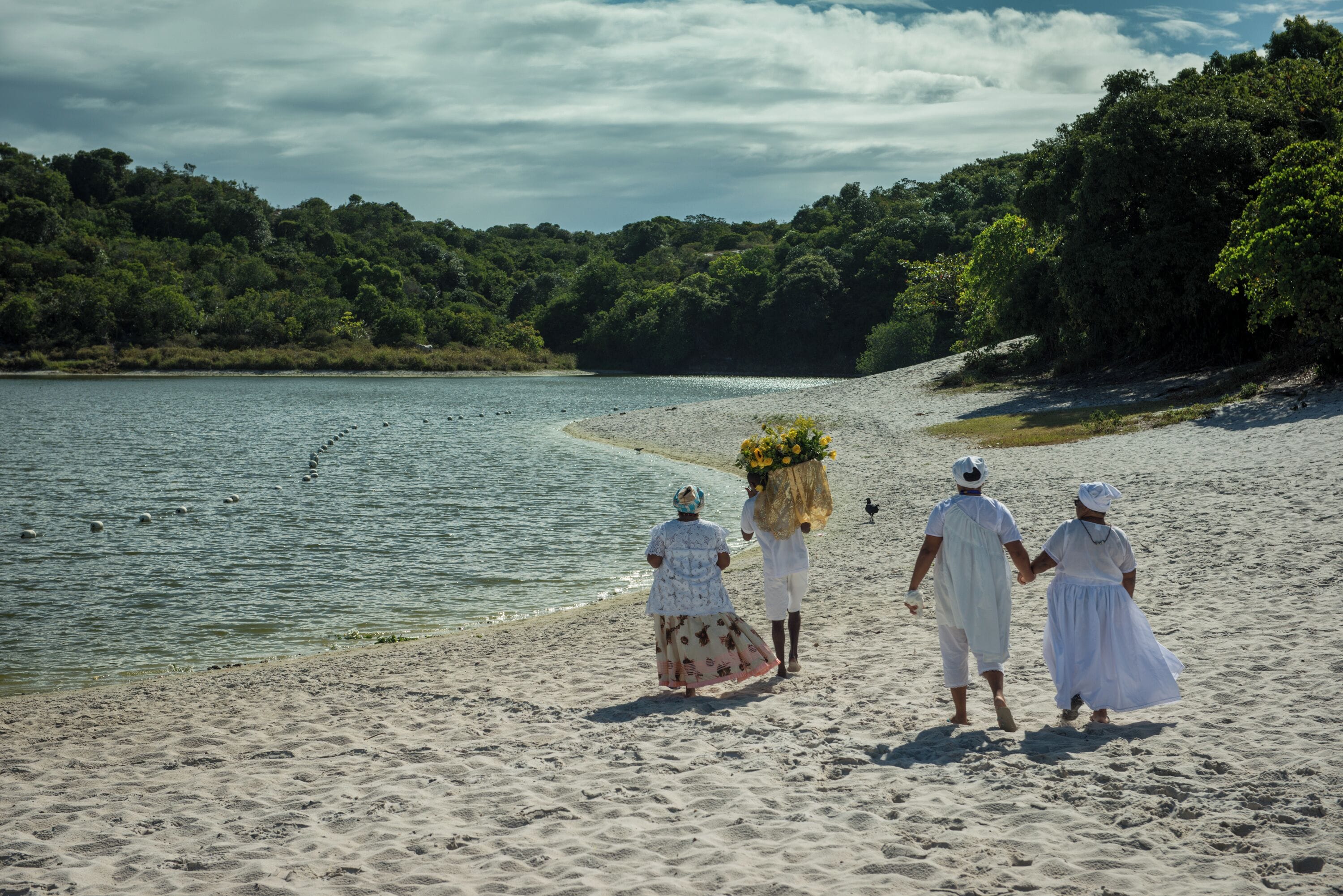 Uma praia arenosa com águas calmas, rodeada por vegetação densa.