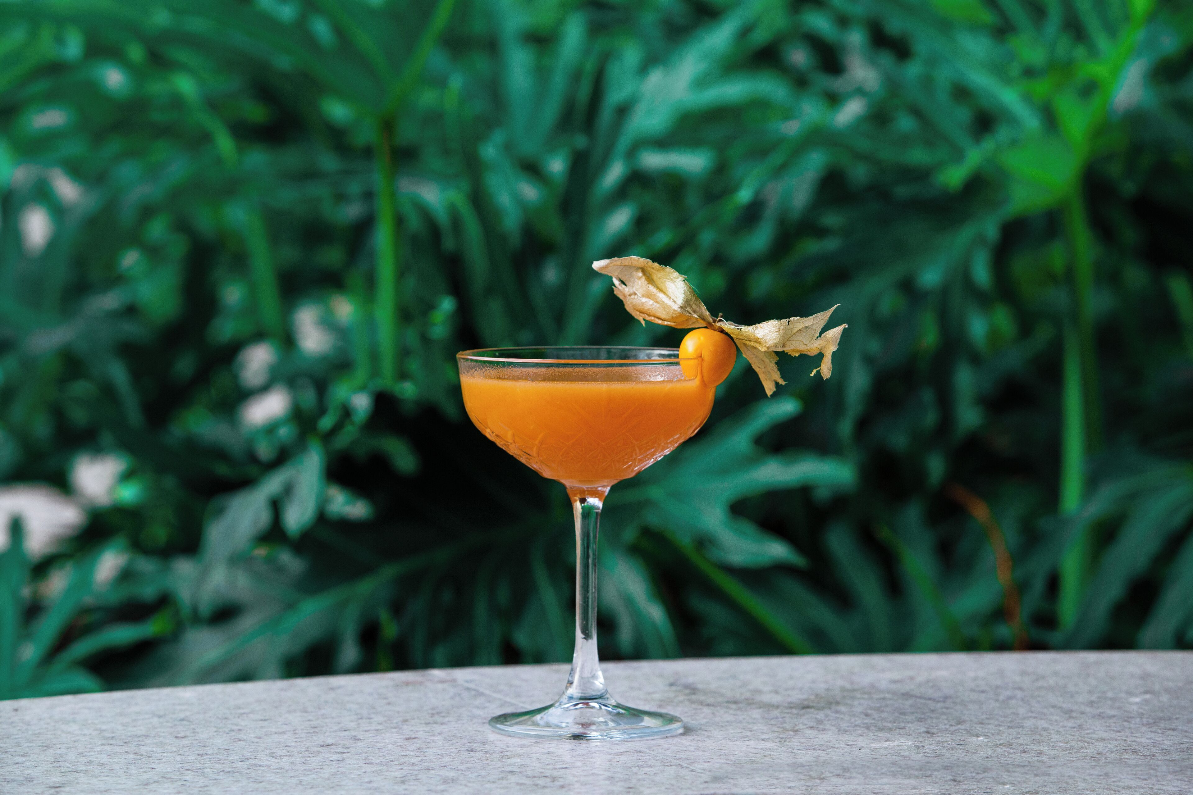 A cocktail in a stemmed glass with a garnish, set against a backdrop of green foliage.