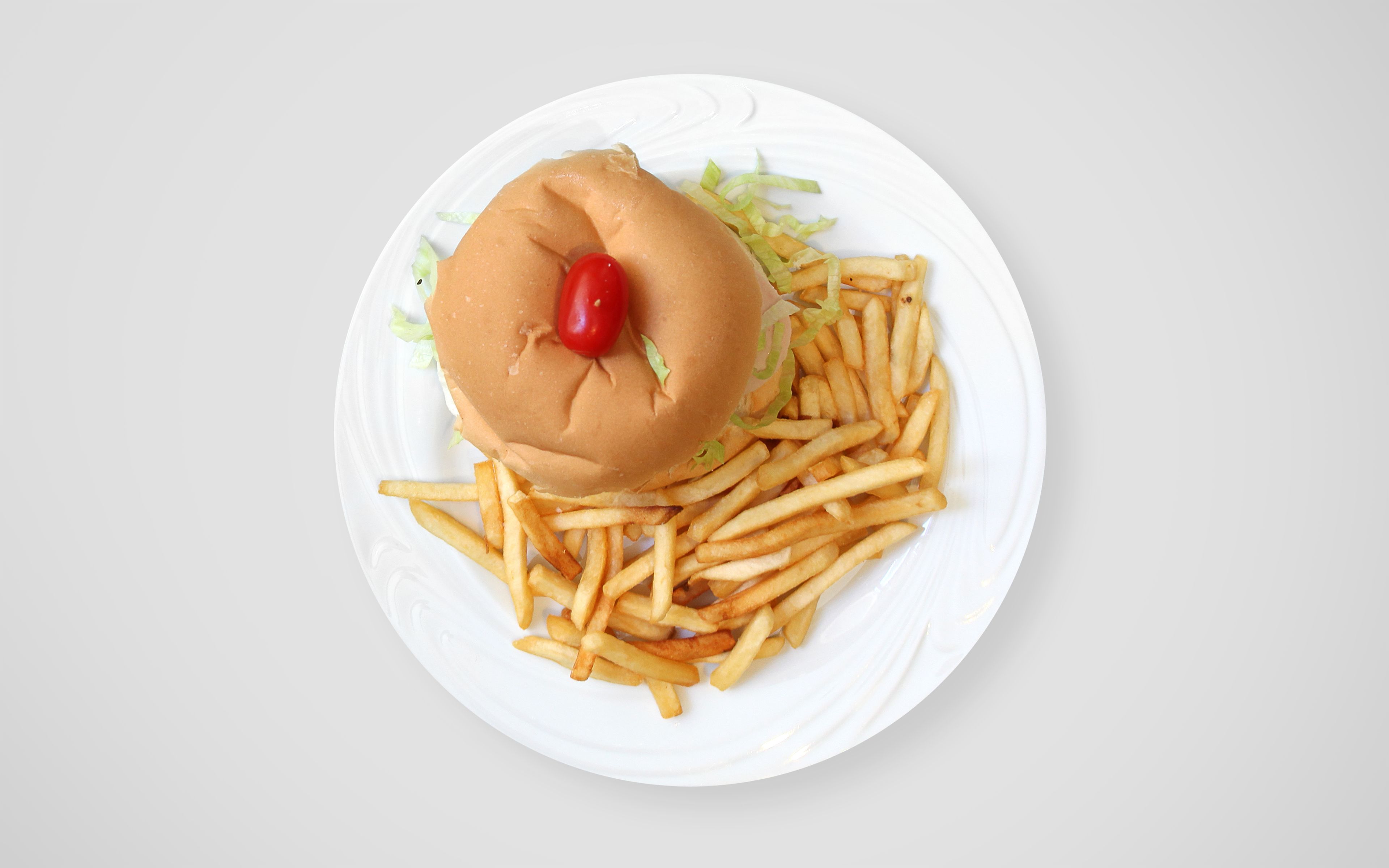 A plate with a hamburger and French fries.