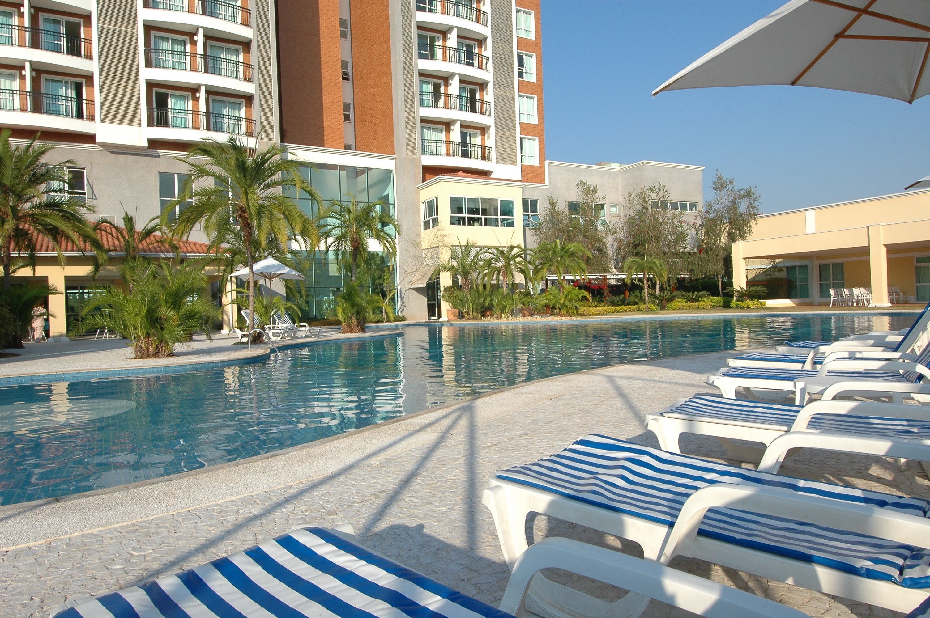 Alberca al aire libre, sombrillas en la alberca y camastros 