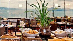 Un buffet proposant une variété de plats, une plante en pot et une vue sur le paysage urbain à travers de grandes fenêtres.