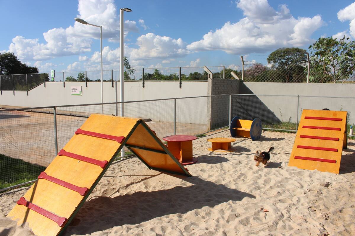 pet-friendly amenities