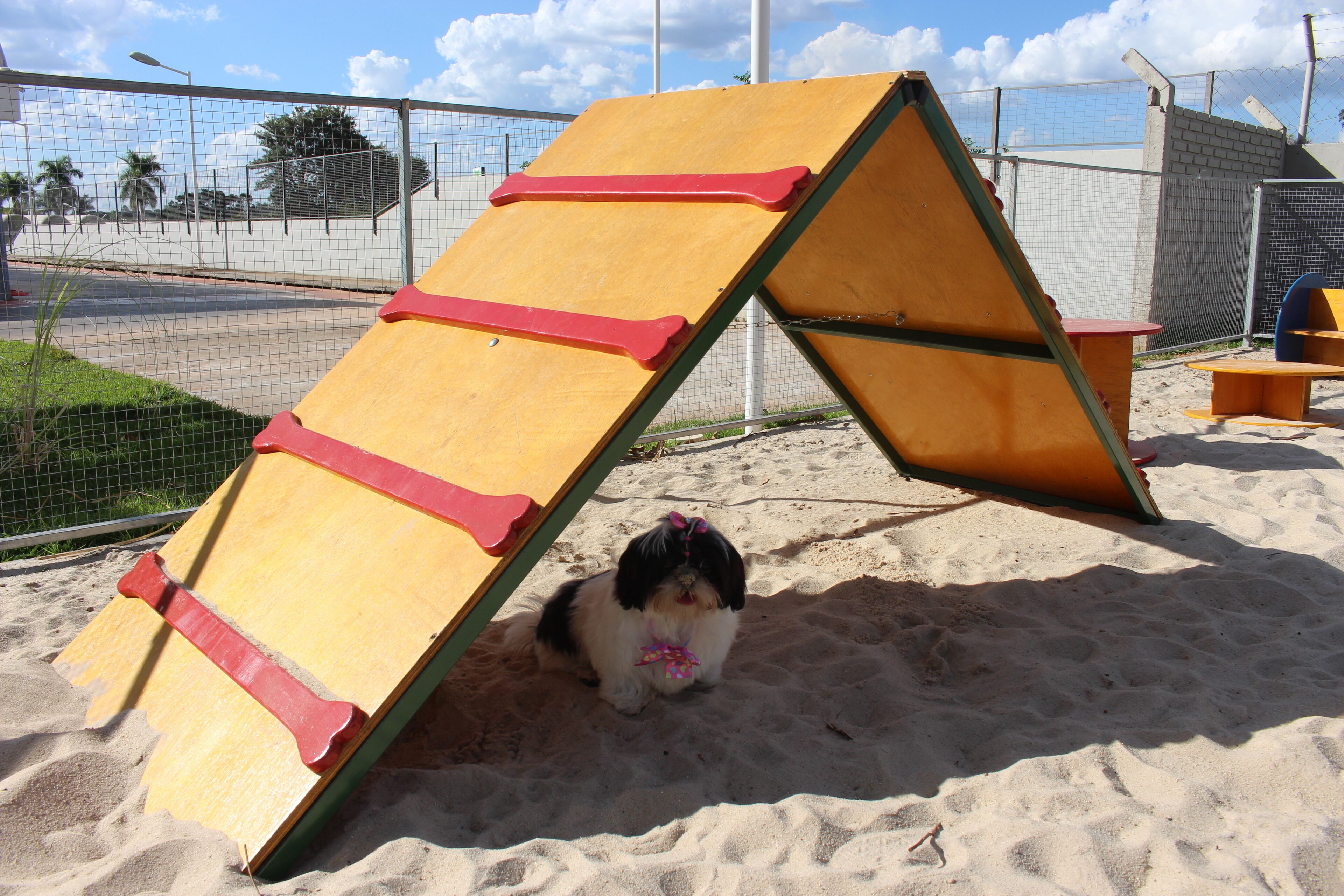 A dog under a sand play structure at a beach.