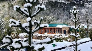 Exterior - Malalcahuello Thermal Hotel & Spa (Curacautin)