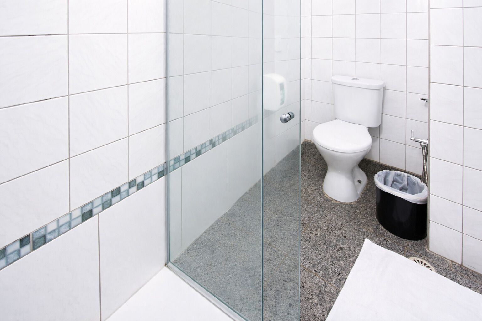 A bathroom with a glass shower enclosure, a white toilet, and a trash bin.