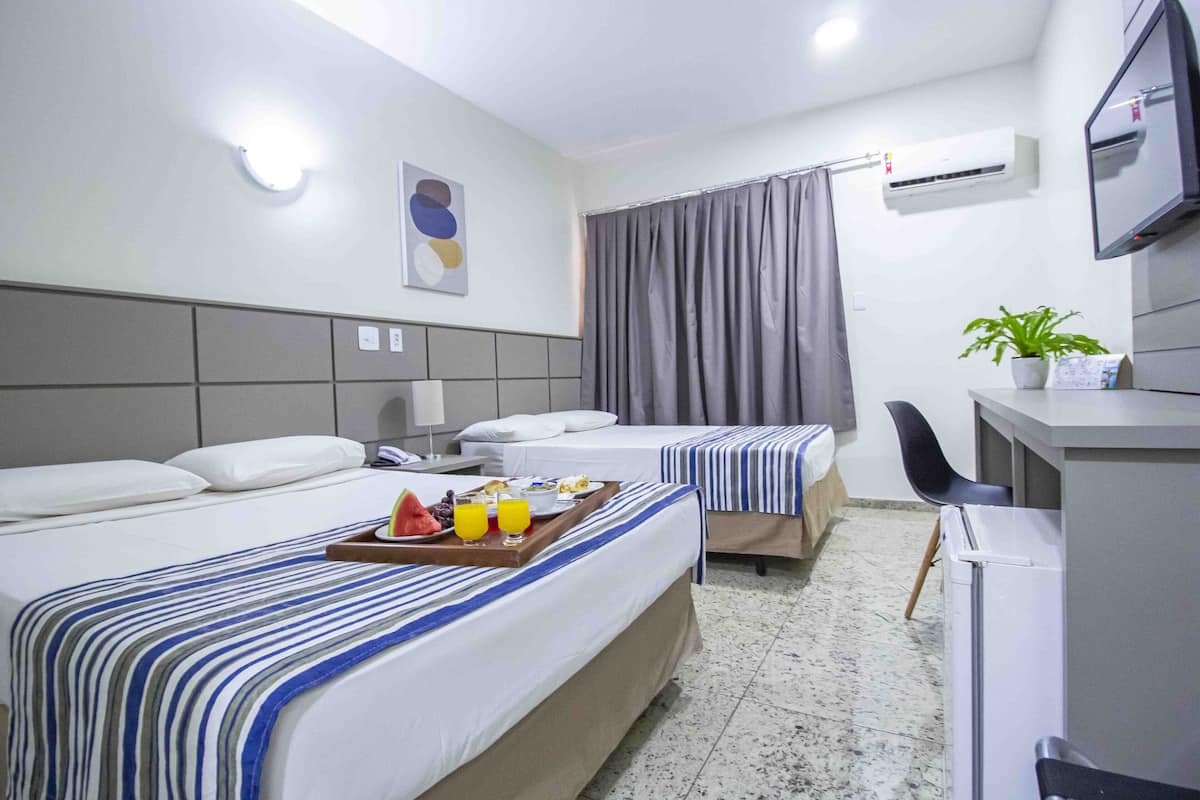 A hotel room with two beds, a desk, a chair, a TV, an air conditioner, and a plant.