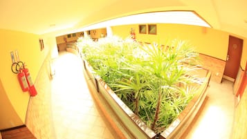Detalle interior