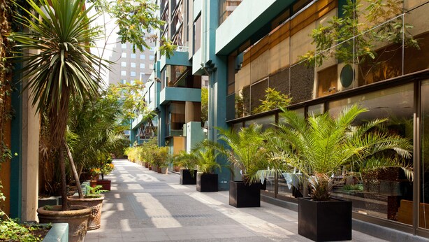 A corridor lined with potted plants and a bench, leading to a building with large windows and a modern architectural style. - Apart Hotel Cambiaso (Santiago)