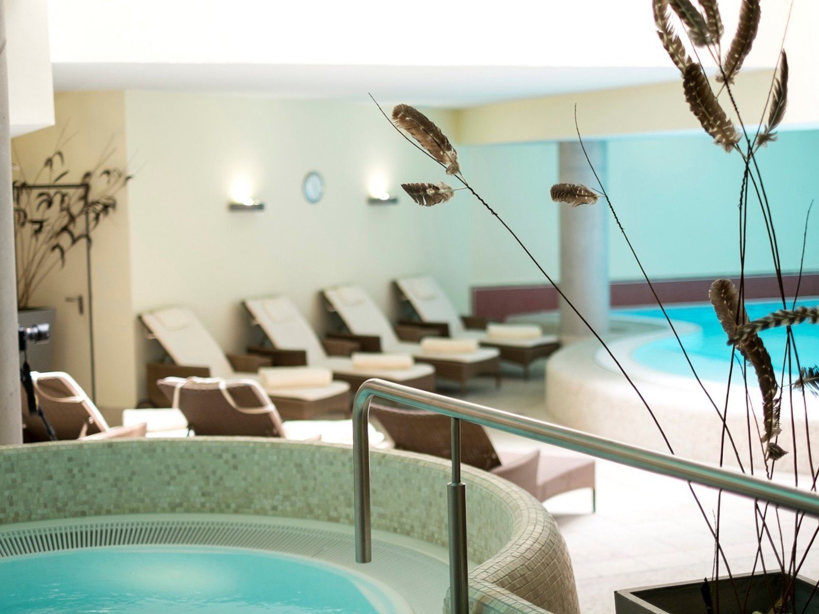 Ein Wellnessbereich mit Pool, Liegestühlen und einer Zierpflanze.