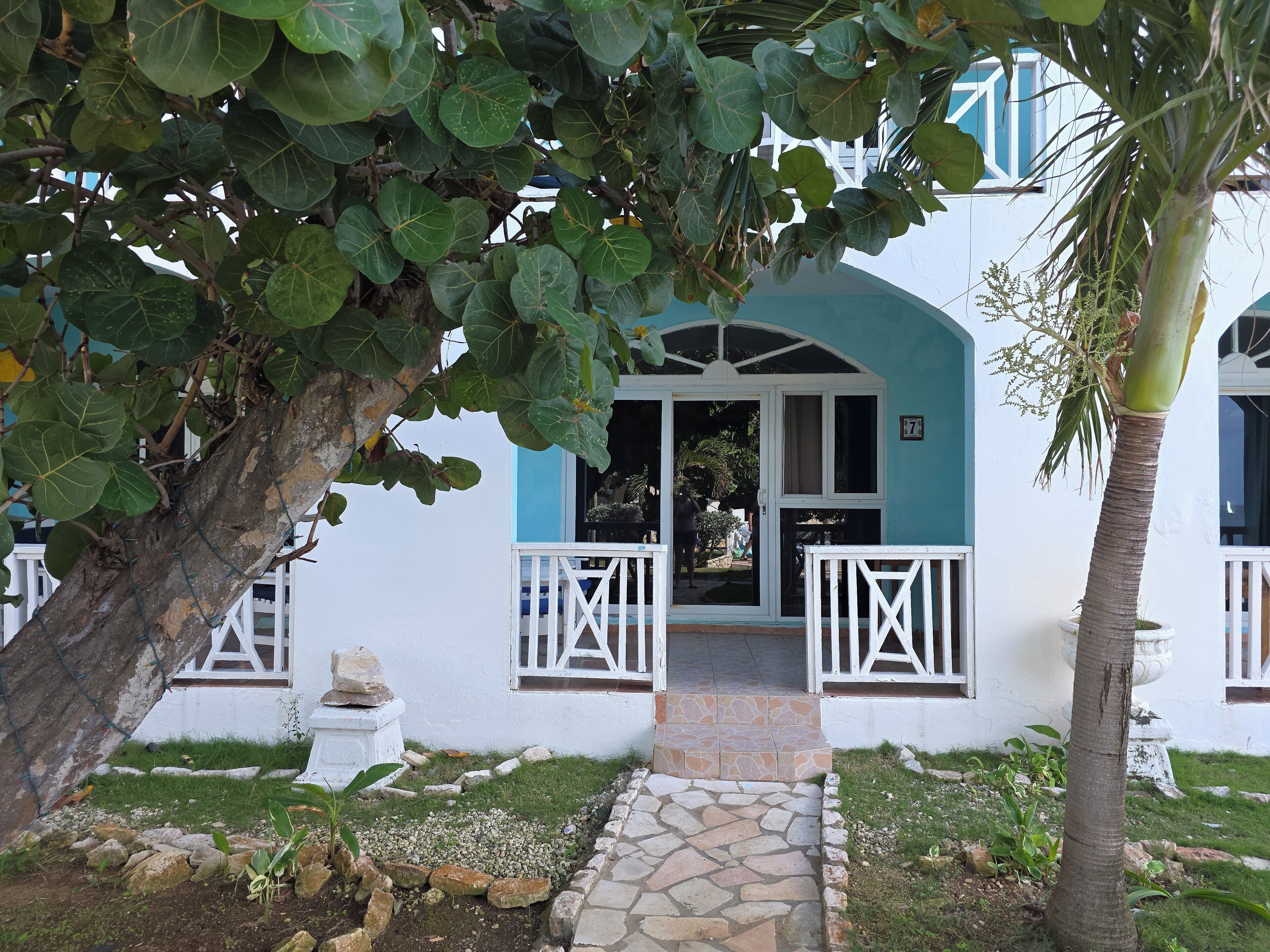 A building with a white exterior and blue accents, a stone pathway leading to a white door, and a palm tree in the foreground.