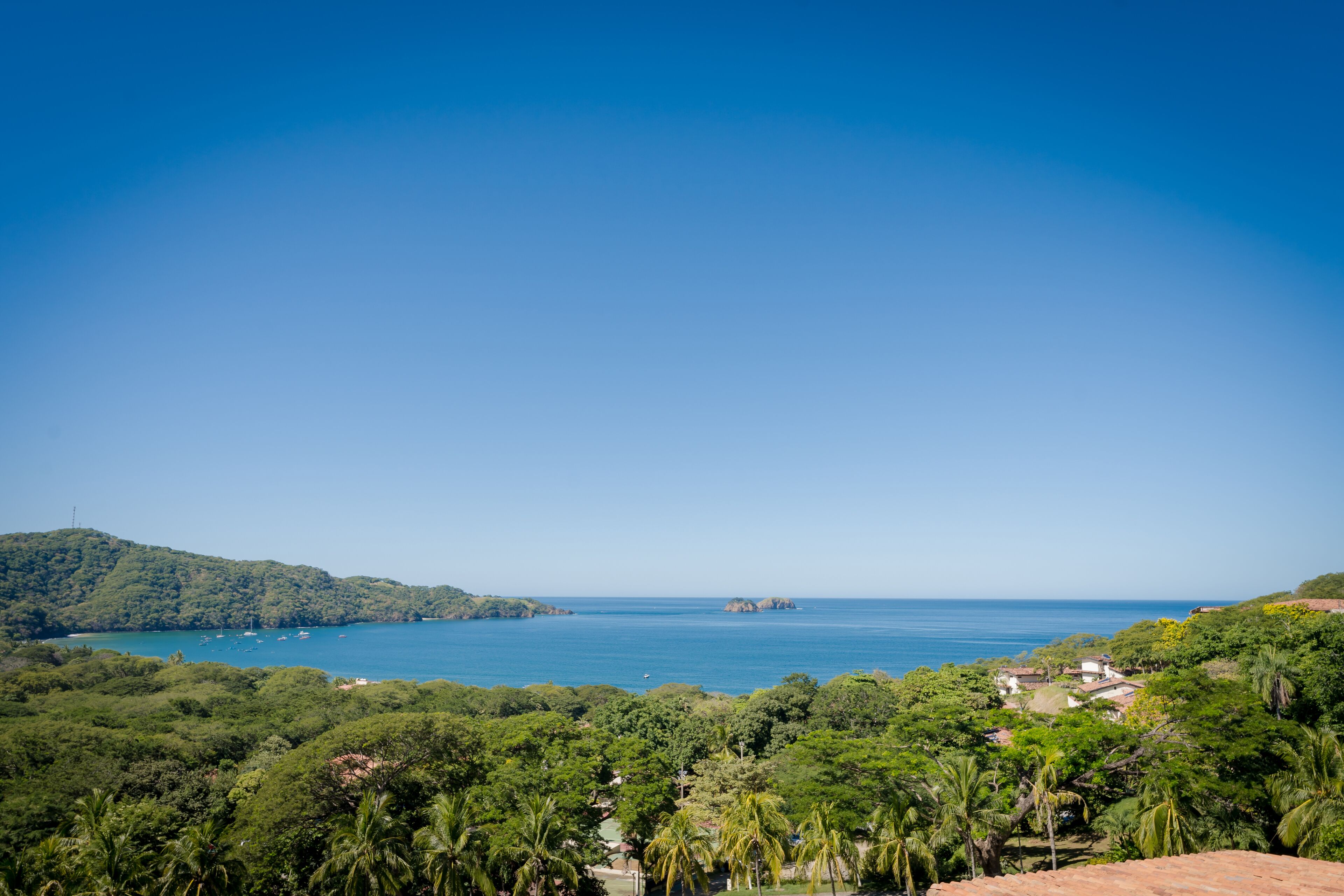 Eine Küstenlandschaft mit dichtem Grün, blauem Himmel und Blick auf das Meer.