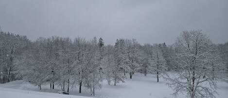 A snowy landscape with trees and a building in the foreground.