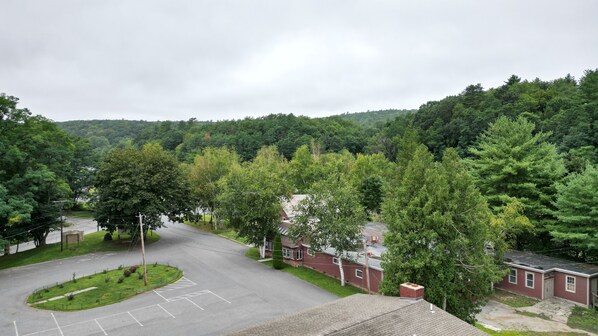 A residential area with a parking lot, houses, and dense forest in the background.