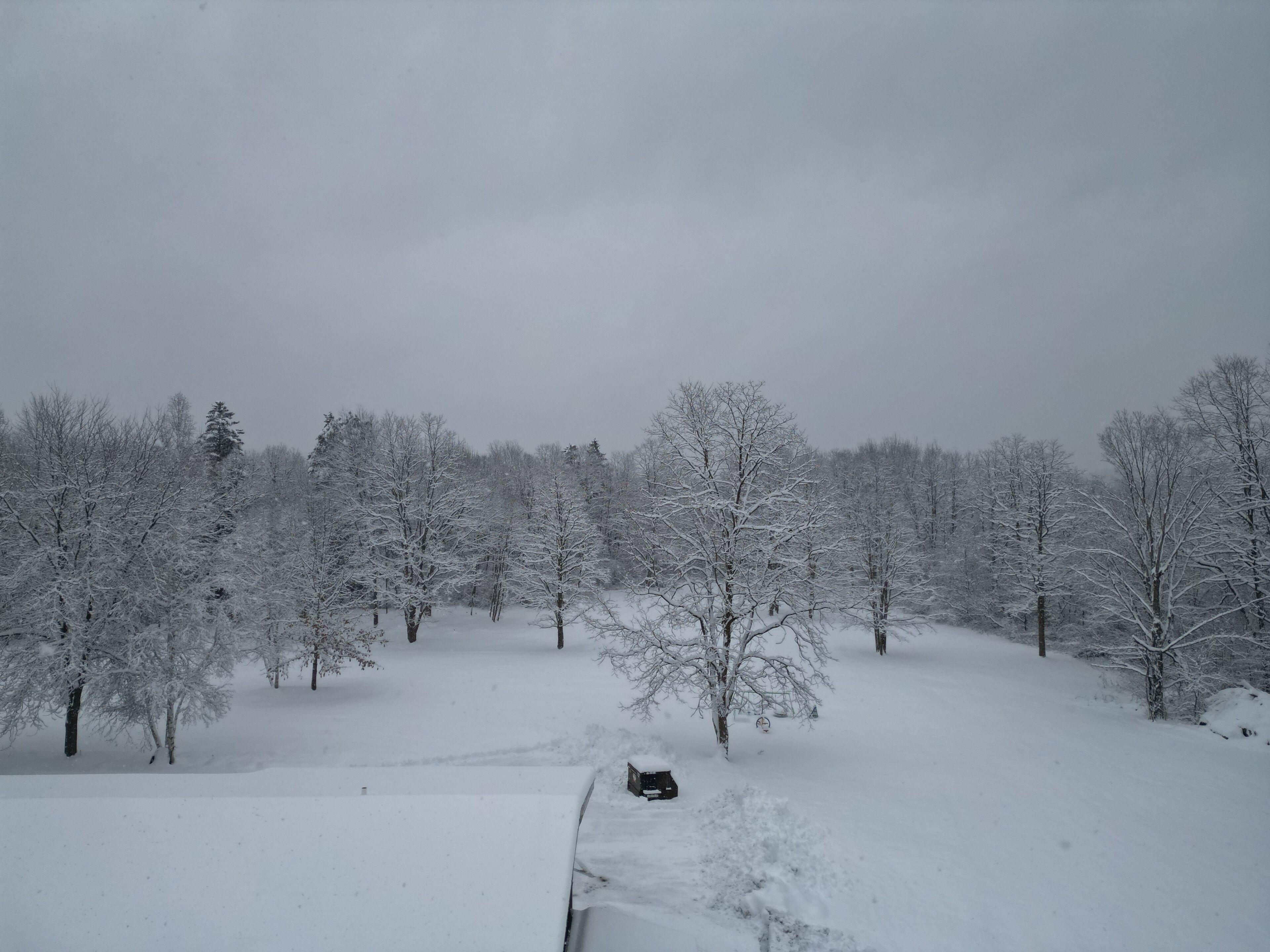 A snowy landscape with trees and a car parked on a snow-covered path.