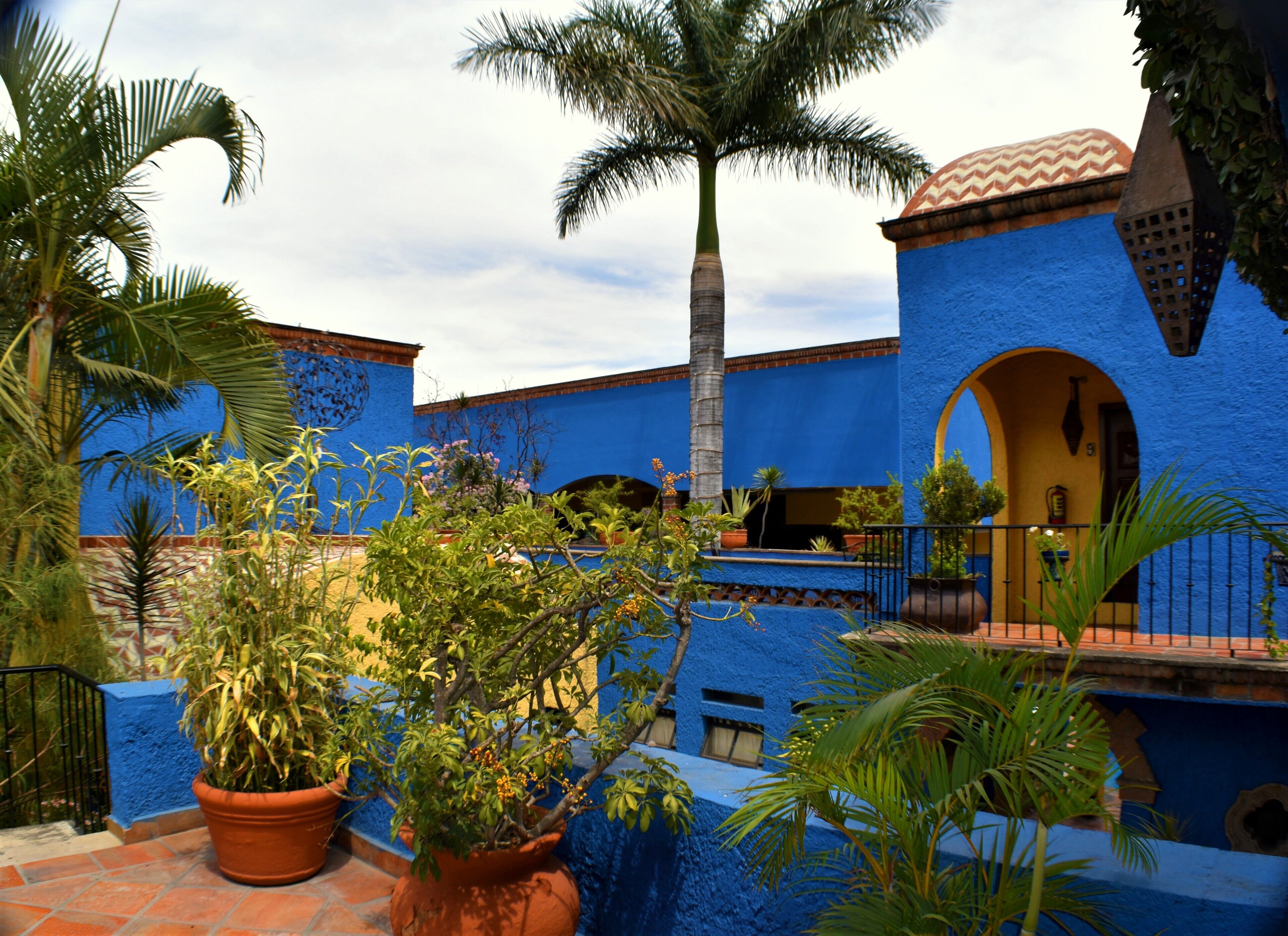 Un patio con paredes azules, palmeras y plantas en macetas.