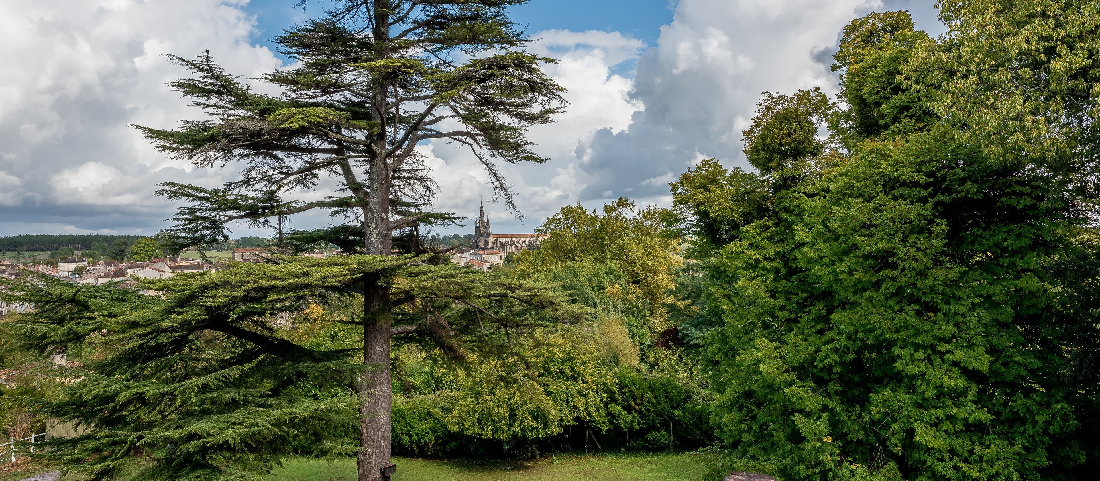 prestige room, terrace | view from room