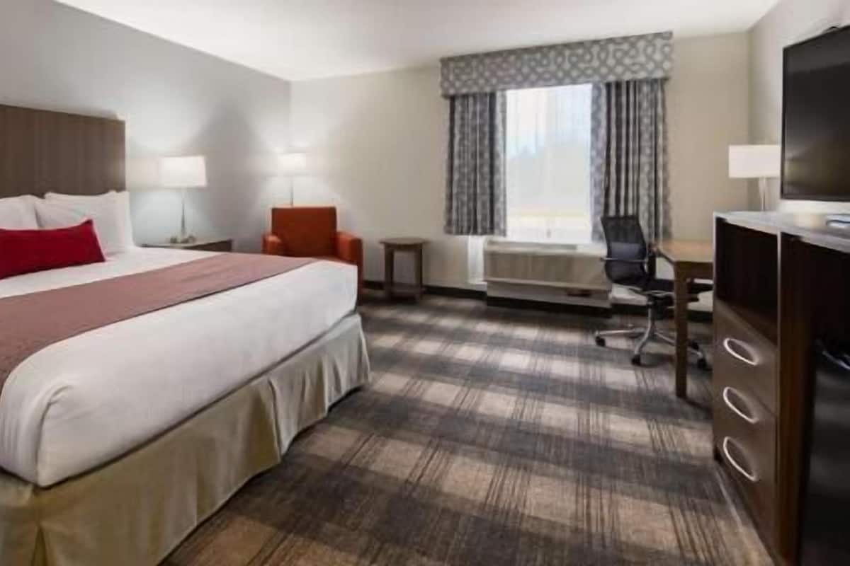 In-room safe, desk, iron/ironing board, free cribs/infant beds
