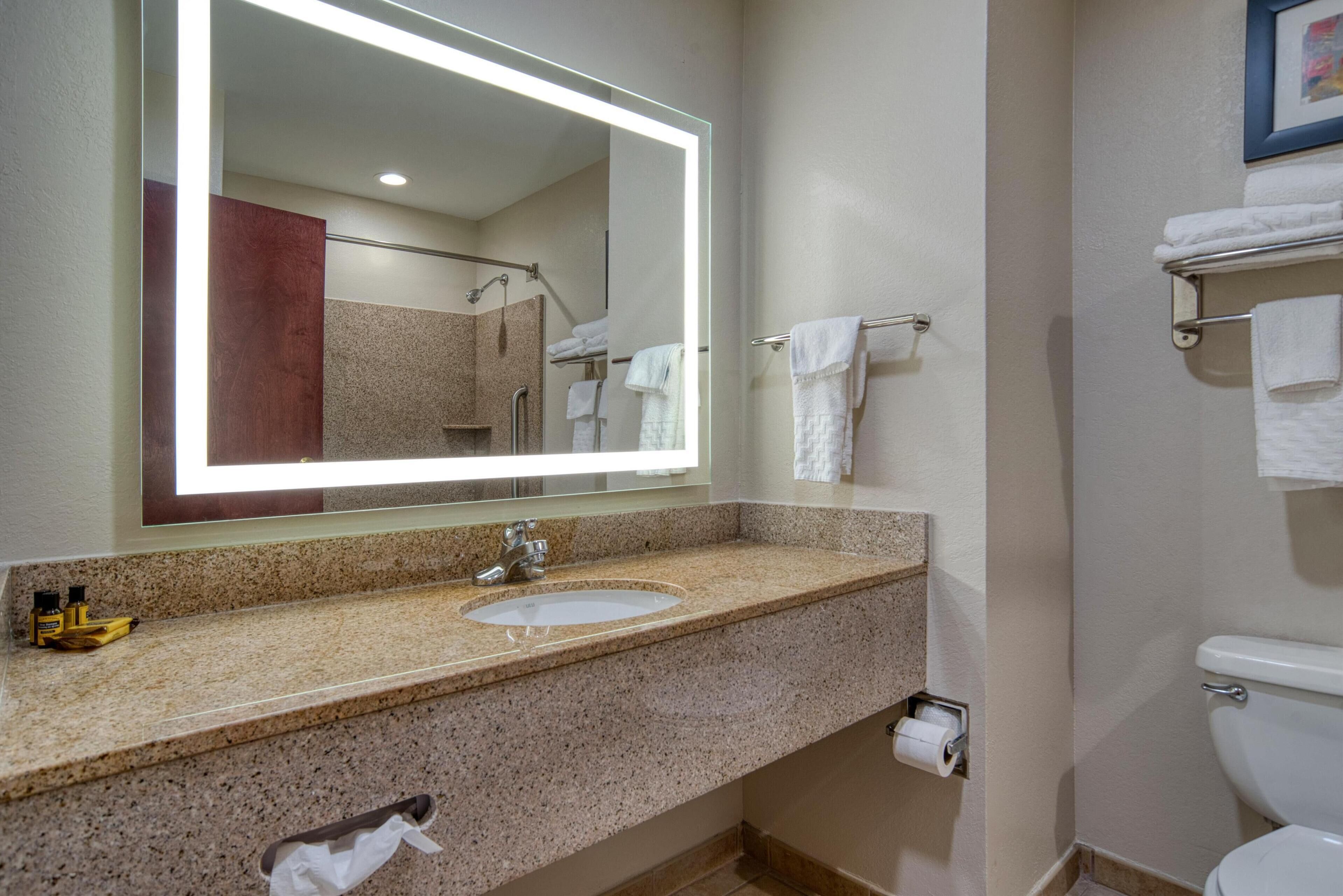 standard room, 1 king bed, non smoking, microwave | bathroom | combined shower/bathtub, hair dryer, towels