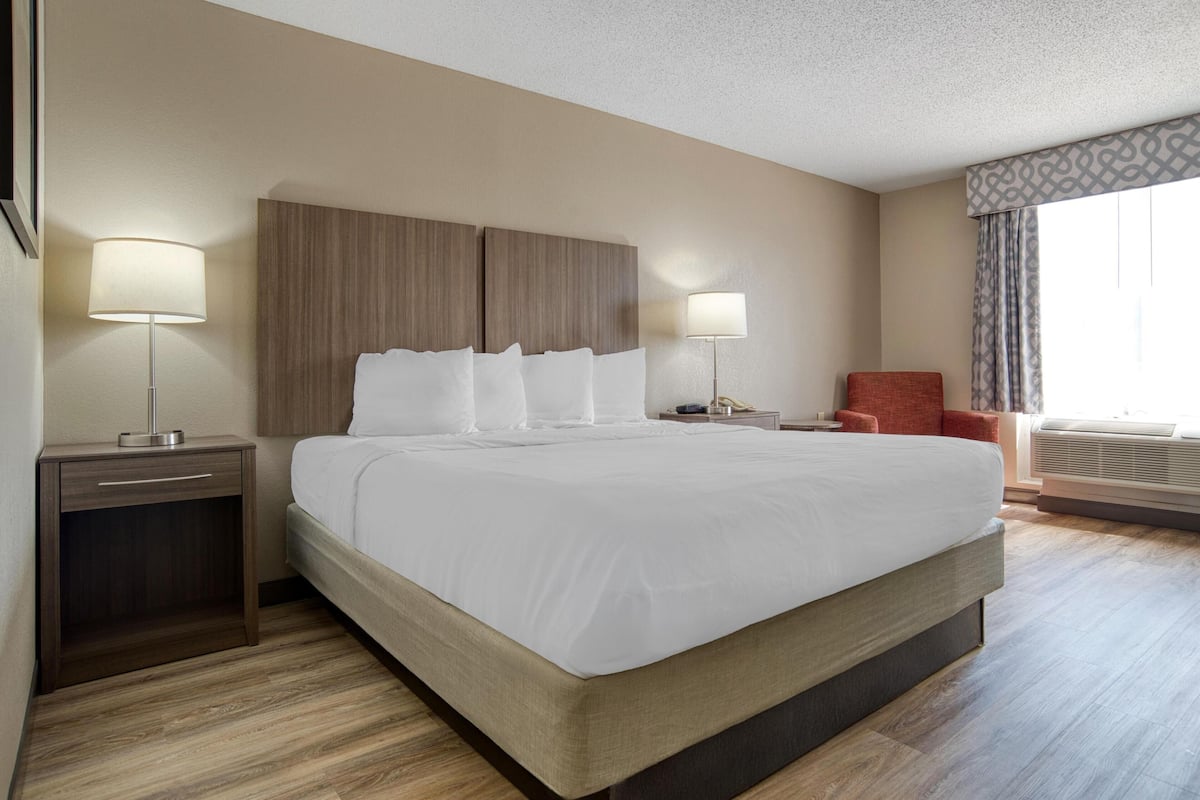 Standard Room, 1 King Bed, Non Smoking, Microwave