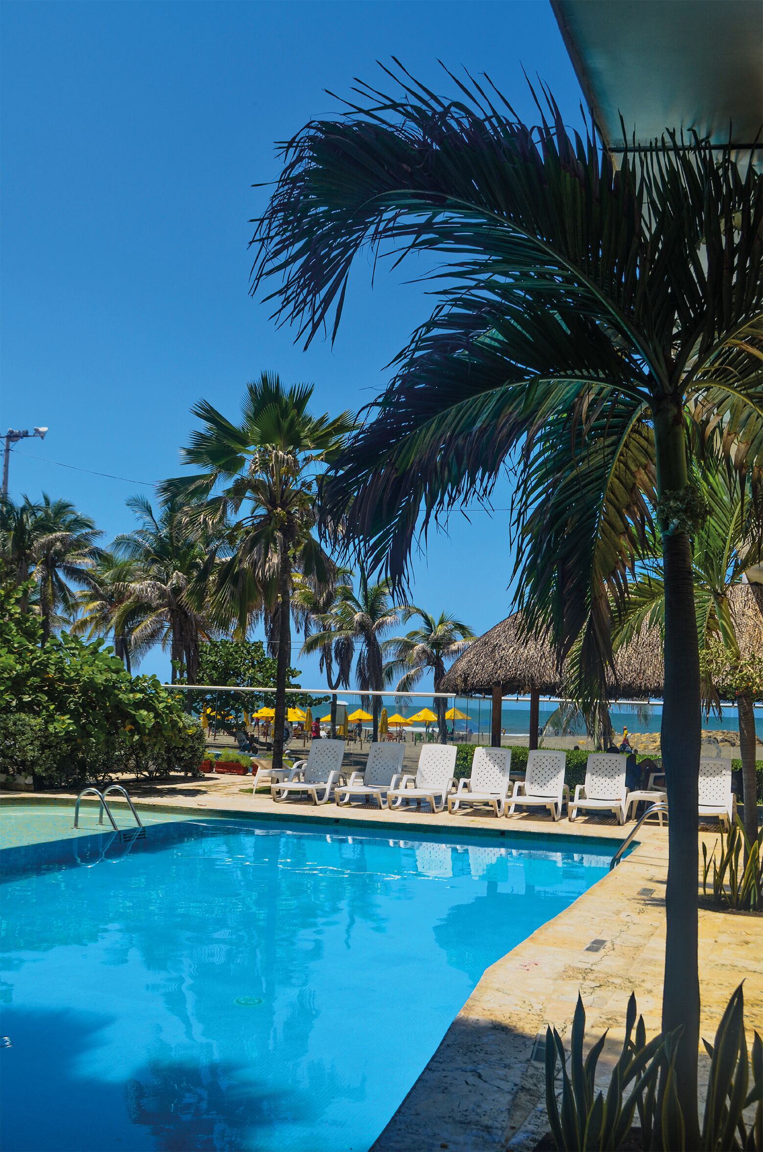 室外游泳池，09:00 至 19:00 开放，日光浴躺椅