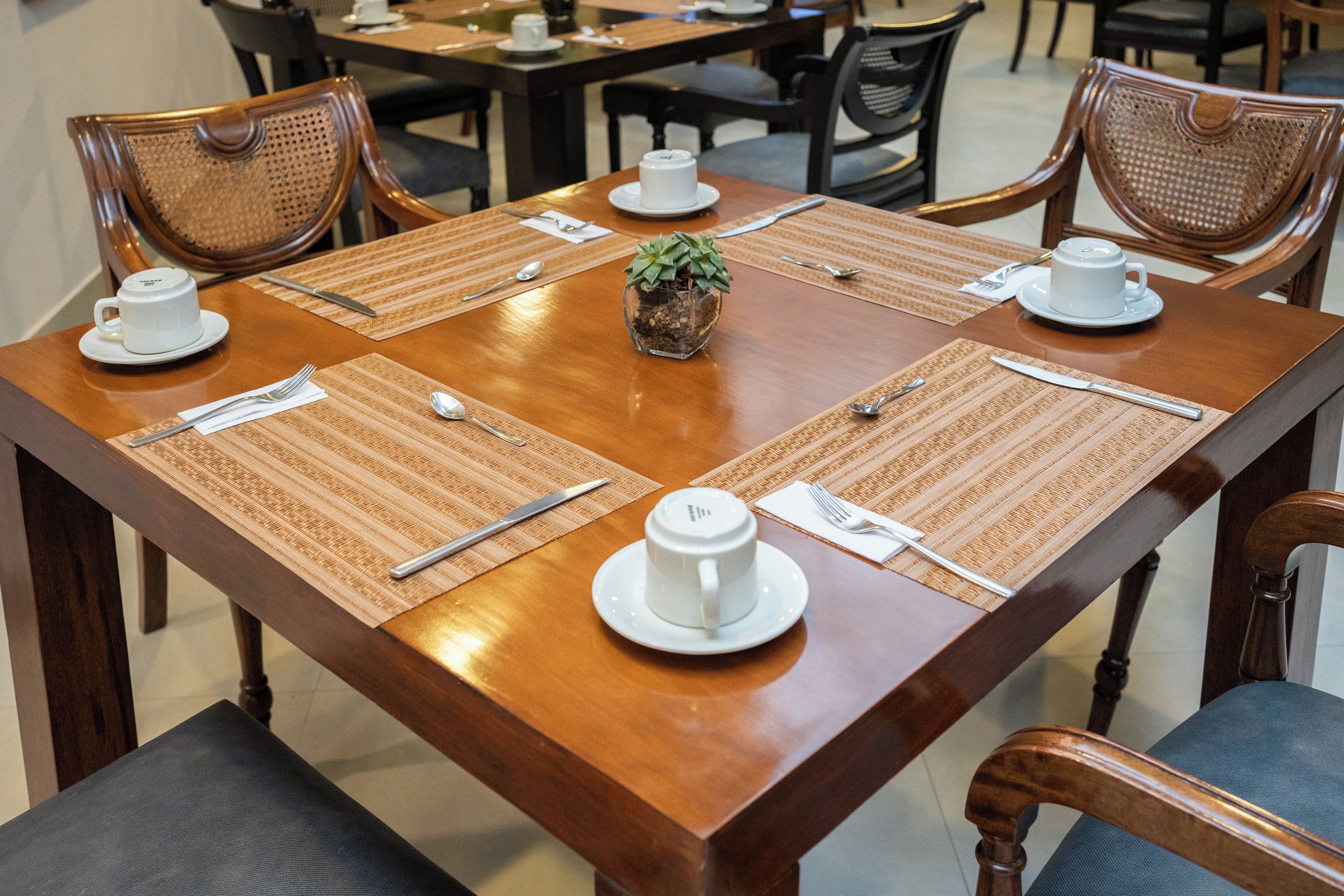 A wooden dining table with placemats, white cups, and a small potted plant.