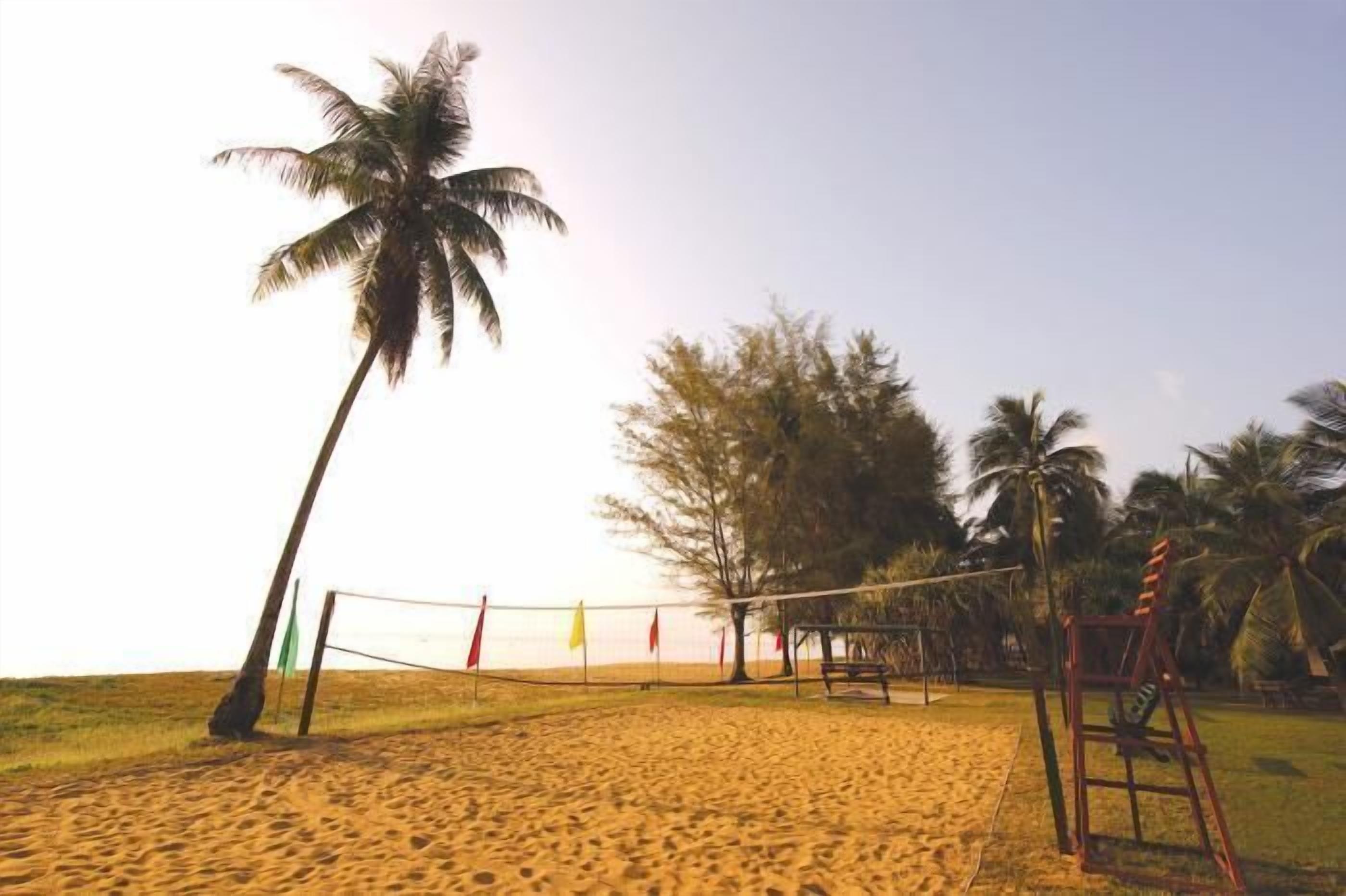 Een zandstrand met een volleybalnet, palmbomen en een paal voor het volleybalnet.