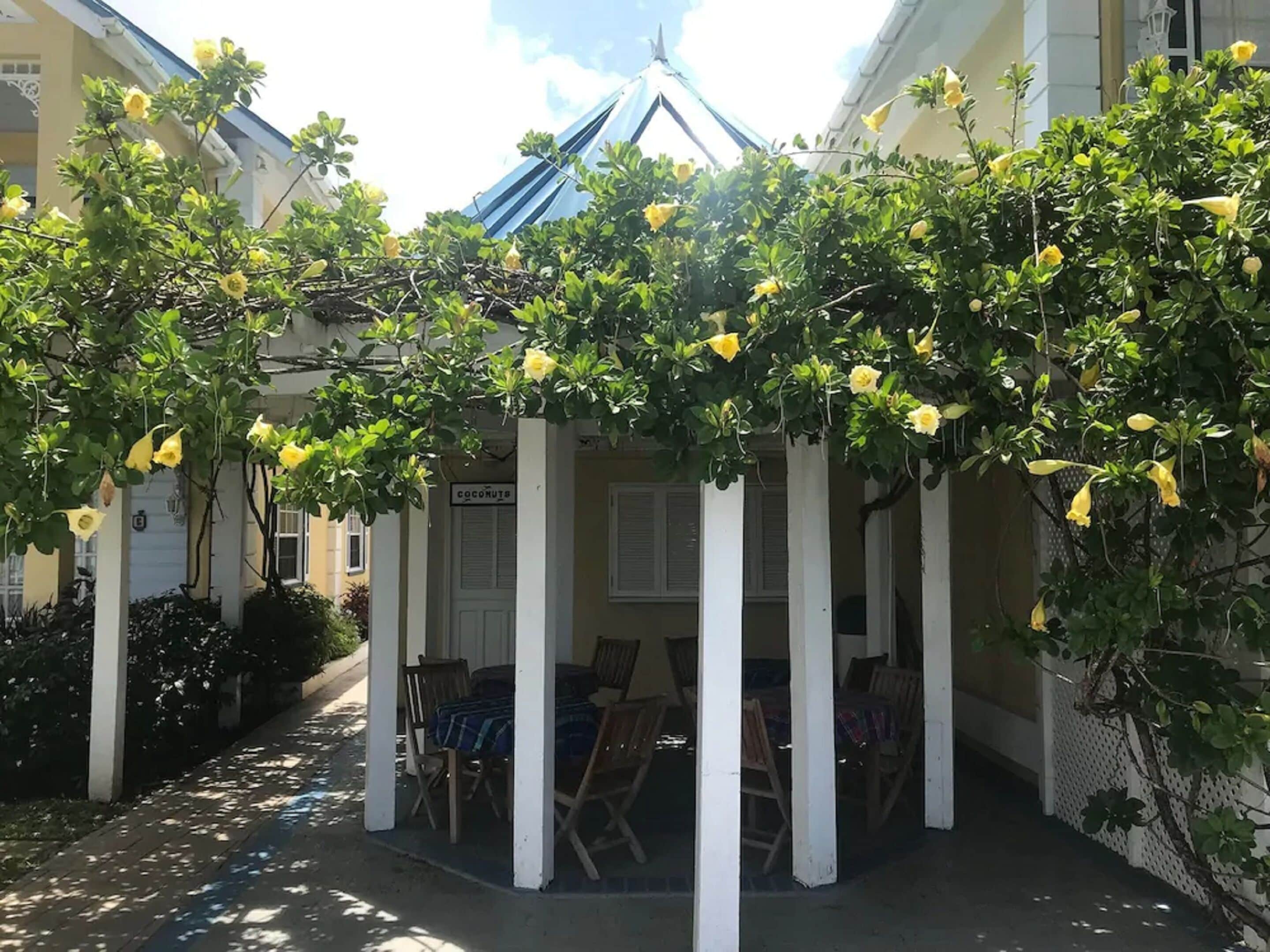 Un espace extérieur aménagé, abrité et doté de piliers blancs et de plantes à fleurs jaunes.