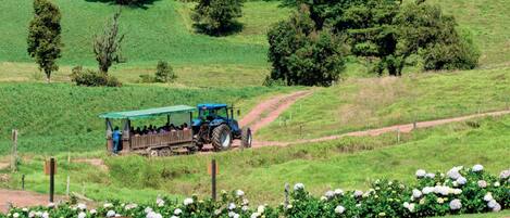 Un paisaje rural con un campo verde, un camino de tierra y un tractor azul con pasajeros.