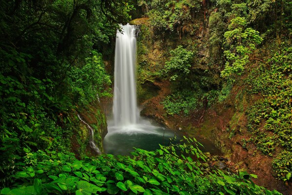 Une cascade entourée d’une végétation luxuriante.