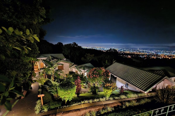 Ein Nachtblick auf eine Wohngegend mit einem gut beleuchteten Garten, einem Haus mit geneigtem Dach und einer Stadtkulisse in der Ferne.