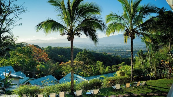 Un resort con varios edificios de techos azules, palmeras y vistas a un paisaje urbano distante.
